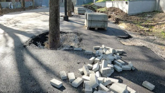 «Рабочим всё равно». На главной улице Воронежа при ремонте повредили 50-летние каштаны