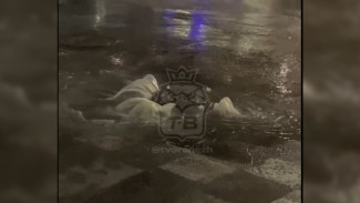 В Воронеже улица Шишкова утонула в фекалиях