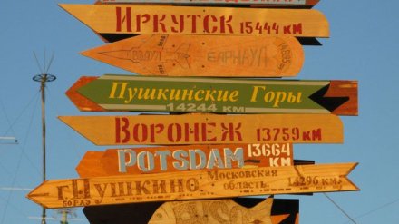 Воронежский полярник: «Пингвины не нападают на людей»