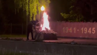 В Воронеже после осквернения Братской могилы возбудили второе уголовное дело