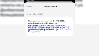 Парковку на улице 9 Января в Воронеже снова сделали платной
