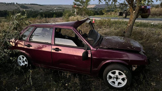 19-летний водитель попал в больницу после аварии с деревом в Воронежской области