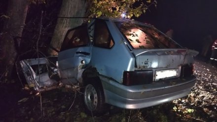 В Воронежской области 27-летний водитель ВАЗа погиб в ДТП с деревом 