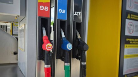 Власти о поставках бензина в Воронежскую область: «Ситуация остаётся напряжённой»
