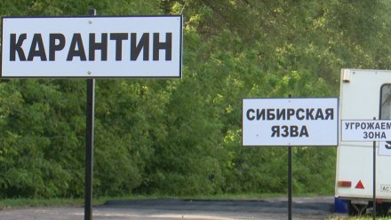 В Воронежской области отменили карантин по сибирской язве