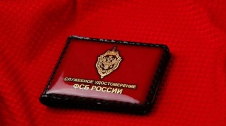 Воронежский экс-депутат и тренер Саенко сыграли роль ФСБ-шников для борьбы с врагом IKEА