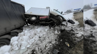 Двое мужчин и женщина погибли в массовом ДТП на воронежской трассе
