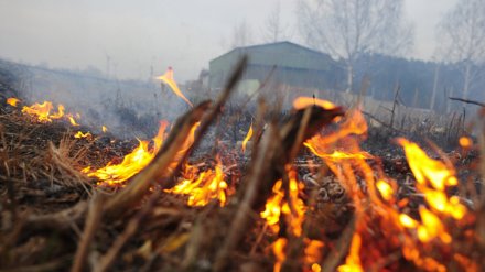 В 9 районах Воронежской области уровень пожароопасности вырос до максимального