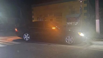 Mercedes сбил мужчину и годовалую девочку на пешеходном переходе в Острогожском районе