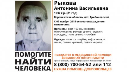 В Воронежской области потерялась старушка в красном платке