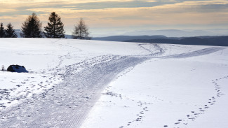 Прогноз погоды в Воронеже на 19.12.2025