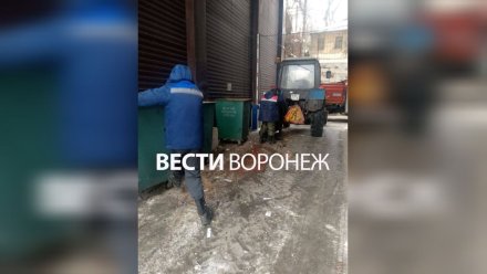 Заваленную мусором дорогу очистили после жалоб воронежцев