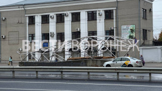 Крышу подземного перехода на Ворошилова в Воронеже сделают в виде самолёта