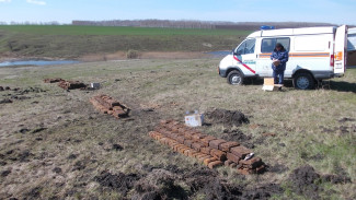 Более 100 боеприпасов времён Великой Отечественной войны взорвали в Воронежской области