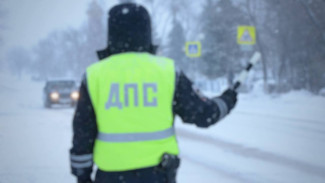 Воронежских водителей предупредили о дополнительных нарядах ДПС
