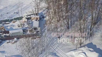 Воронежцы забили тревогу из-за выброшенных трупов собак в водохранилище