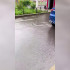 Воронежцы показали на видео масштабный потоп на Олимпийском бульваре