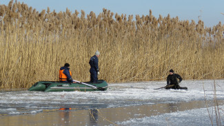 Спасатели временно остановили поиски провалившегося под лёд воронежского мальчика