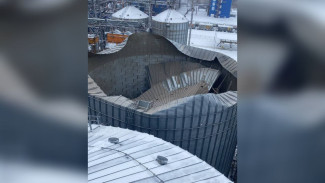Крыша обрушилась под тяжестью снега на заводе под Воронежем
