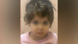 Воронежские волонтёры рассказали о потерявшейся 4-летней девочке