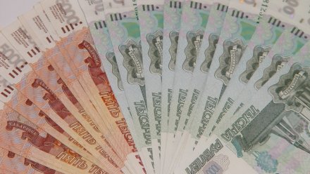 Девушка из Воронежской области обманом получила налоговый вычет в полмиллиона