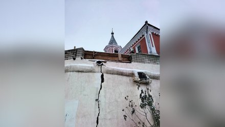 В Воронеже запланировали создать проект обновления треснувшей старинной стены
