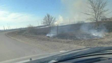 Ландшафтные пожары зафиксировали ещё в 4 районах Воронежской области