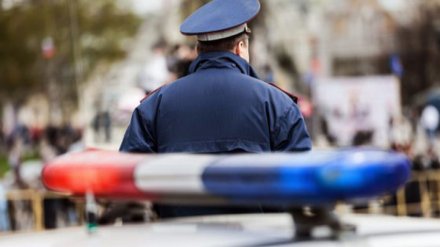 ГИБДД предупредила автомобилистов о массовых проверках по всей Воронежской области