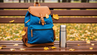 Воронежский омбудсмен взяла на личный контроль историю о развращении школьницы учителем