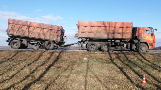На трассе в Воронежской области столкнулись грузовики из Курска и Белгорода