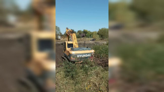 Появились подробности возведения дамбы на воронежской Усманке