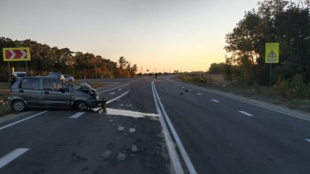 Жительница Тулы разбилась в ДТП с фурой на воронежской трассе