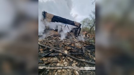 Число погибших при пожаре в воронежских Костёнках увеличилось до двух