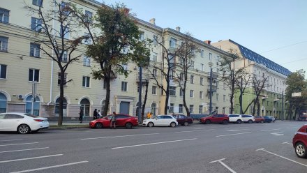 Воронежцев встревожили засыхающие в центре города деревья