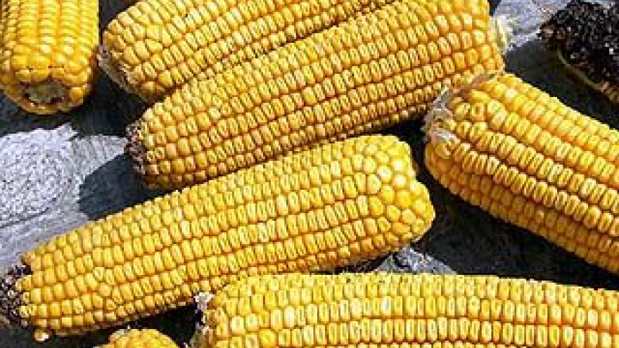 Список запрещённых к ввозу с Украины продуктов расширен