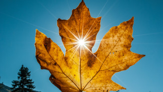 Синоптики рассказали, когда в Воронеже выйдет солнце