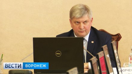 Воронежский губернатор потерял в доходах в 2020 году