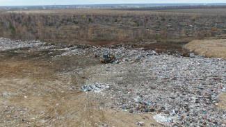 Глава Росприроднадзора обратила внимание на проблемную свалку возле воронежского аэродрома