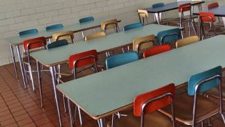 Директоров 3 школ в Воронежской области наказали за низкокалорийные обеды для детей