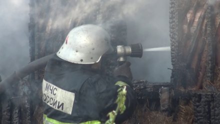 В Воронежской области пожар на избирательном участке полностью уничтожил бюллетени