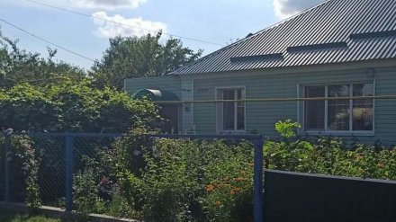 В селе под Воронежем мать ударила ножом четырёхлетнюю дочь