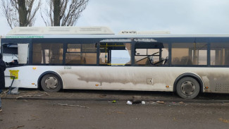 Автобус с 60 пассажирами влетел в дерево на Чернавском мосту в Воронеже