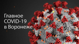 Воронеж. Коронавирус. 8 декабря 
