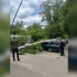 В Воронеже мусоровоз повалил столб на припаркованные машины