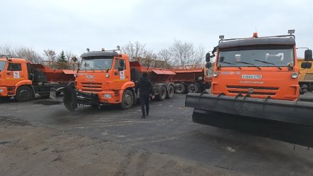 Более 30 спецмашин закупят для комбинатов благоустройства Воронежа 
