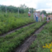 Под Воронежем начали строить забор на пути к популярному пруду с лотосами
