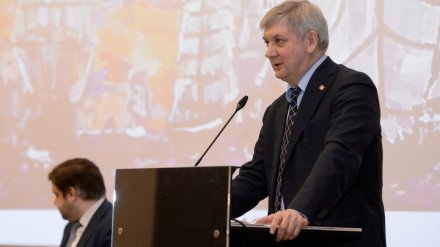 В Воронеже обозначили цели и варианты развития региона до 2035 года