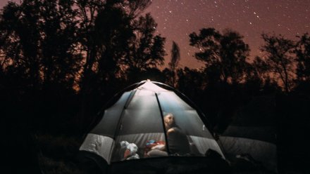 В Воронежской области отказались от детских палаточных лагерей в приграничных районах