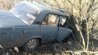 В воронежском селе ВАЗ вылетел в кювет: пострадал водитель