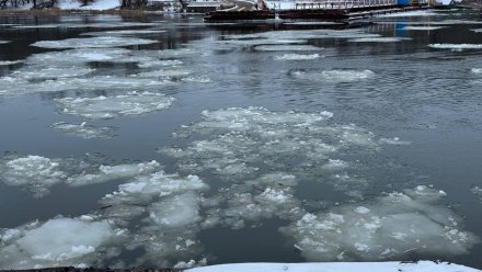 Понтонный мост убрали в Богучарском районе из-за январского ледохода